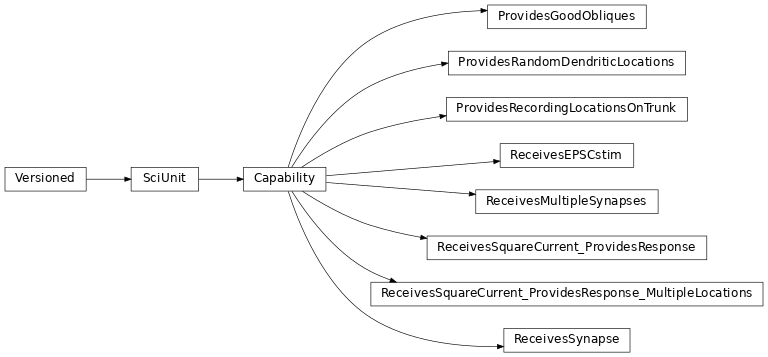 Inheritance diagram of hippounit.capabilities.cap_ProvidesGoodObliques.ProvidesGoodObliques, hippounit.capabilities.cap_ProvidesRandomDendriticLocations.ProvidesRandomDendriticLocations, hippounit.capabilities.cap_ProvidesRecordingLocationsOnTrunk.ProvidesRecordingLocationsOnTrunk, hippounit.capabilities.cap_ReceivesEPSCstim.ReceivesEPSCstim, hippounit.capabilities.cap_ReceivesMultipleSynapses.ReceivesMultipleSynapses, hippounit.capabilities.cap_ReceivesCurrentStimuli_ProvidesResponse.ReceivesSquareCurrent_ProvidesResponse, hippounit.capabilities.cap_ReceivesCurrentStimuli_ProvidesResponse_MultipleLocations.ReceivesSquareCurrent_ProvidesResponse_MultipleLocations, hippounit.capabilities.cap_ReceivesSynapse.ReceivesSynapse
